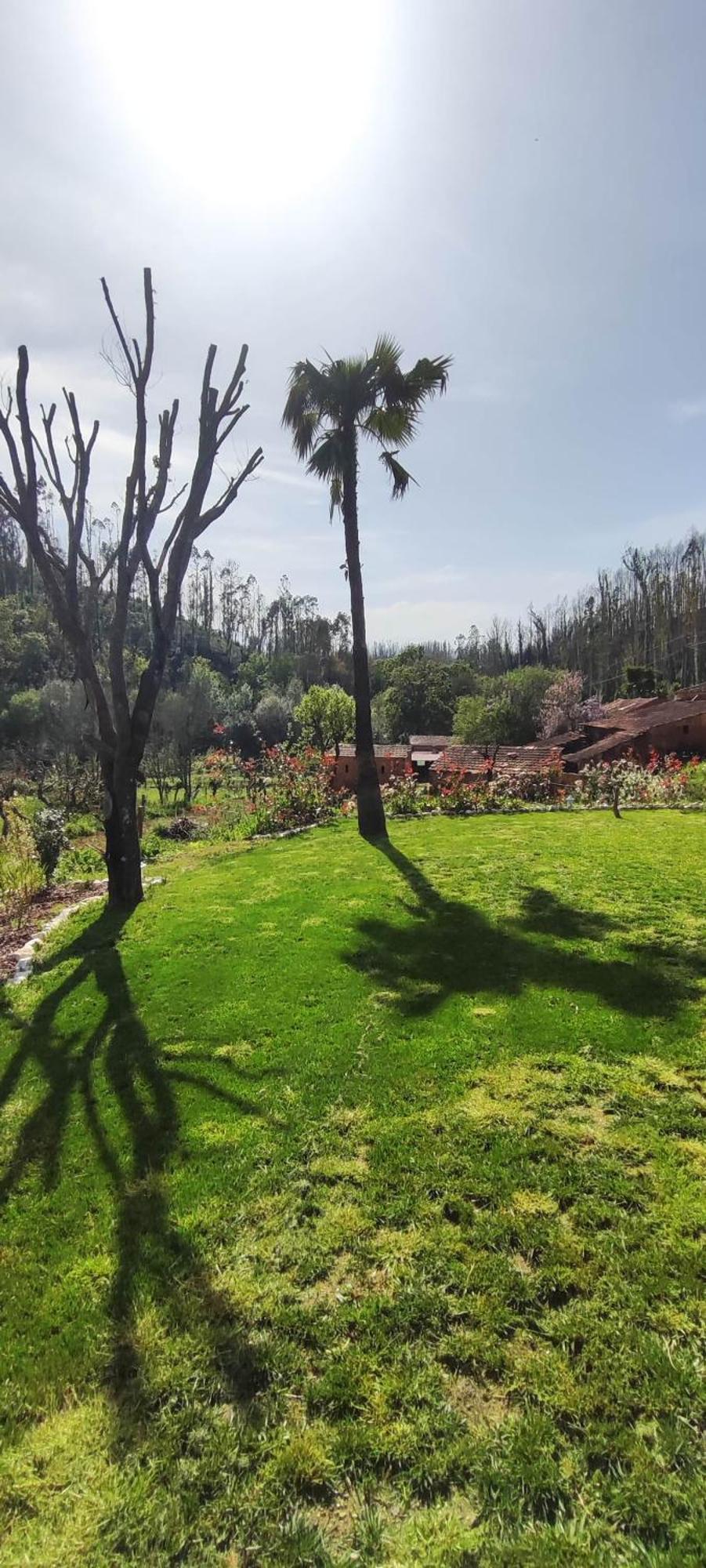 Charm House Casa Da Eira Βίλα Angeja Εξωτερικό φωτογραφία